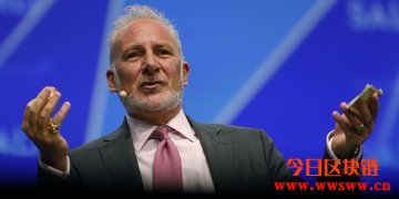 黄金多头Peter Schiff：比特币持有者只想套利不为保值插图