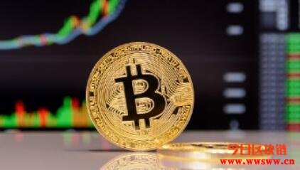 Bitcoin令我明白到知识根本是垃圾插图